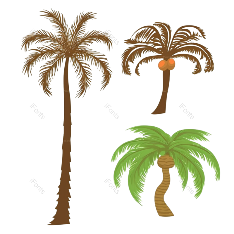 元素图片,夏天元素,椰子树PNG,绿色免抠素材
